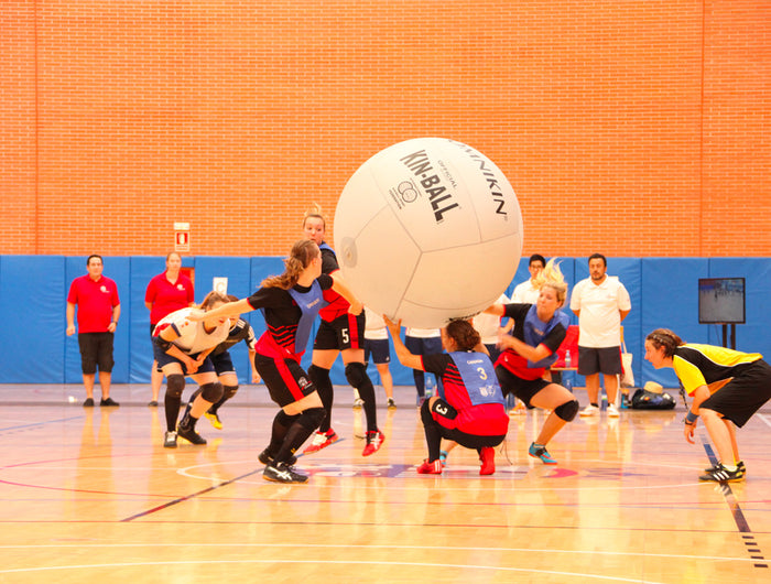 <h2>香港熱門新興運動</h2><h2>健球 Kin-Ball</h2>