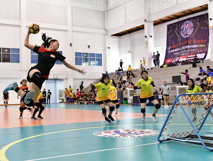 <h2>香港熱門新興運動</h2><h2>巧固球 Tchouk Ball</h2>