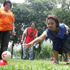 高爾智球 wiser ball