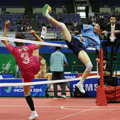 藤球  Sepak takraw