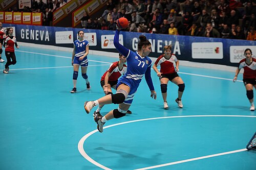 巧固球 Tchouk Ball <strong>全身協調性訓練</strong>